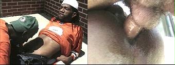 amateur porn videos