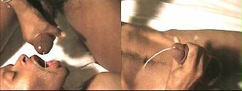 porn videos