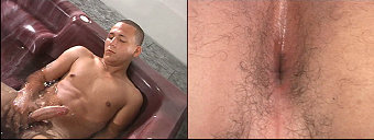 porn videos